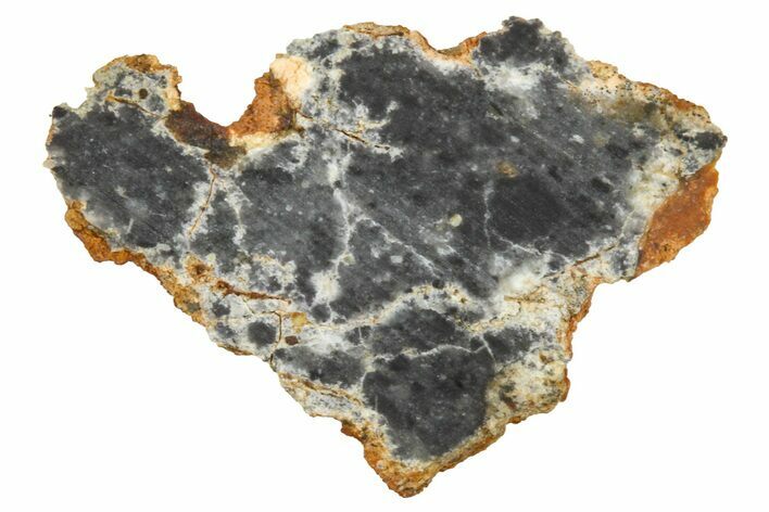 Lunar Meteorite ( g) Section - Bechar #360540